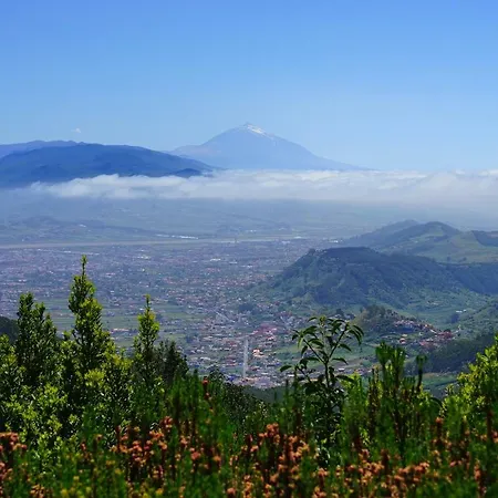 Drago Village *